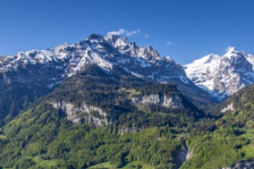 Wetterhorn